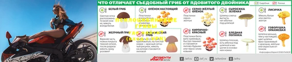 каннабис Зеленокумск