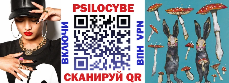 даркнет сайт  Касли  Галлюциногенные грибы Magic Shrooms 